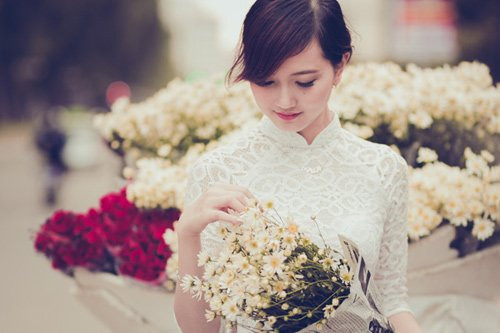  Cúc họa mi là loài hoa được người Hà Nội mong ngóng nhất những ngày đông. Nằm yên trên chiếc xe của những người “chở mùa qua phố”, cúc họa mi trắng muốt, tỏa sáng cả một góc trời. Những cánh hoa li ti, nhỏ nhắn và dịu dàng như người con gái Tràng An mang đến cho người ngắm cảm giác bình yên, dịu dàng. Ảnh: Đỗ Mai Dung, sinh viên năm cuối trường Đại học Thăng Long vừa thực hiện một bộ ảnh nghệ thuật bên hoa cúc họa mi.