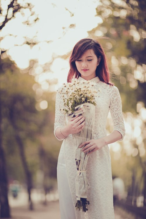 Hình ảnh cô gái ôm bó cúc họa mi bước đi giữa phố Hà Nội đẹp như một bức tranh.