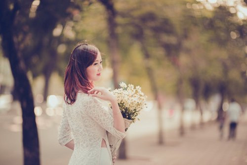 Đông đến, cúc họa mi nở để chiều lòng những người yêu chúng.