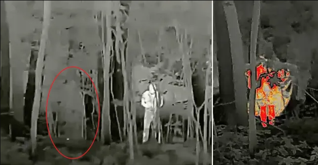 Áo choàng “tàng hình” được thiết kế và chế tạo bởi Công ty HinderX của Nga. Đại diện công ty này cho biết, công ty đang hoàn tất các cuộc thử nghiệm cuối cùng. Dự kiến trang phục mới sử dụng loại vải hiện đại giúp binh sỹ Nga “tàng hình” trên chiến trường sẽ ra mắt trước cuối tháng 1 năm nay.