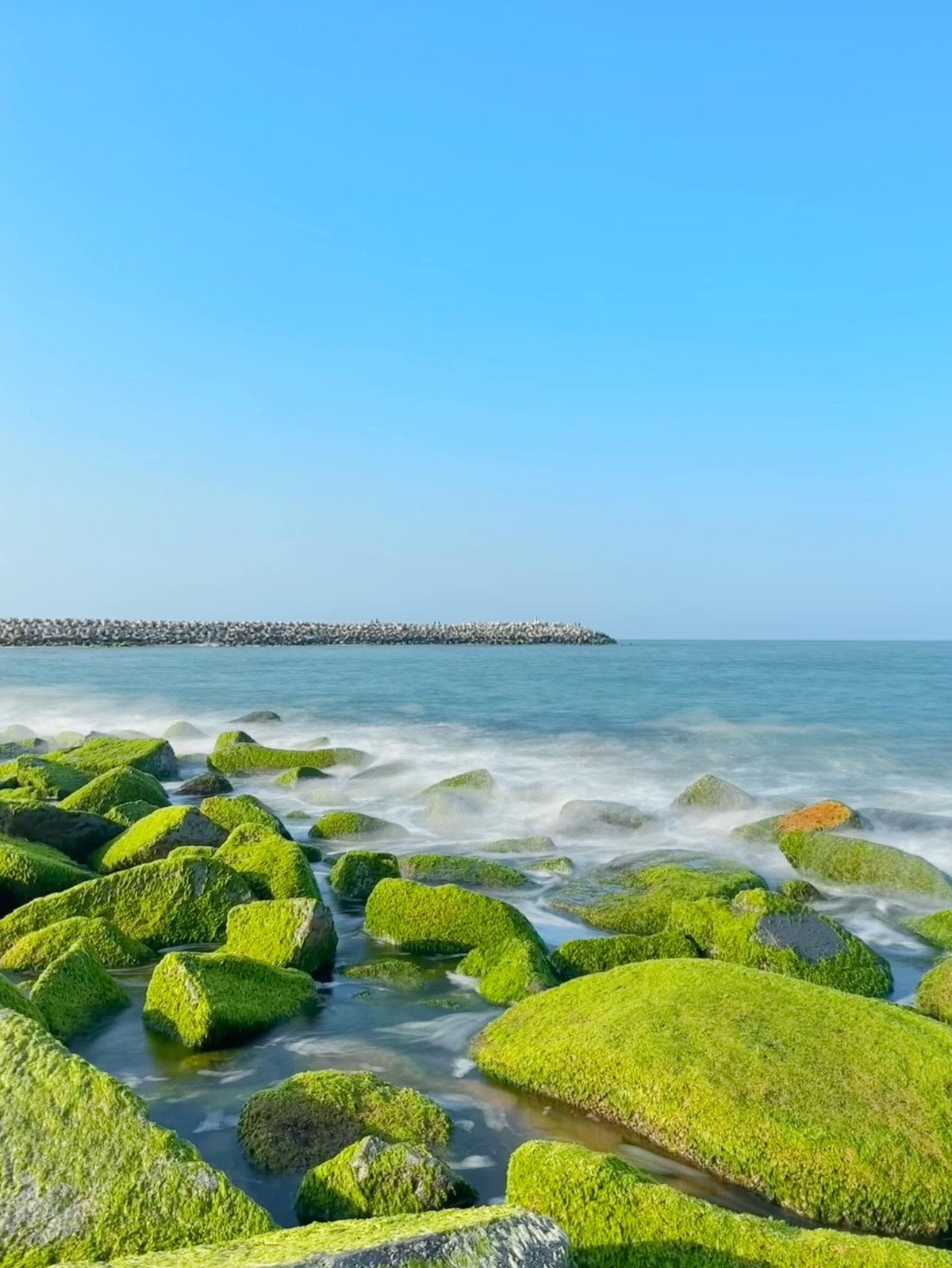 “Mỗi điểm đến là một câu chuyện, điểm nào cũng ấn tượng với mình. Bãi Rêu tại bờ kè Xóm Rớ cho mình nhiều tình cảm hơn cả. Giữa một vùng biển xanh đã mọc lên bãi rêu bạt ngàn, ánh nắng chiều rọi sáng cho mình thấy một tấm thảm khổng lồ trải trên biển”, nam du khách cho biết.