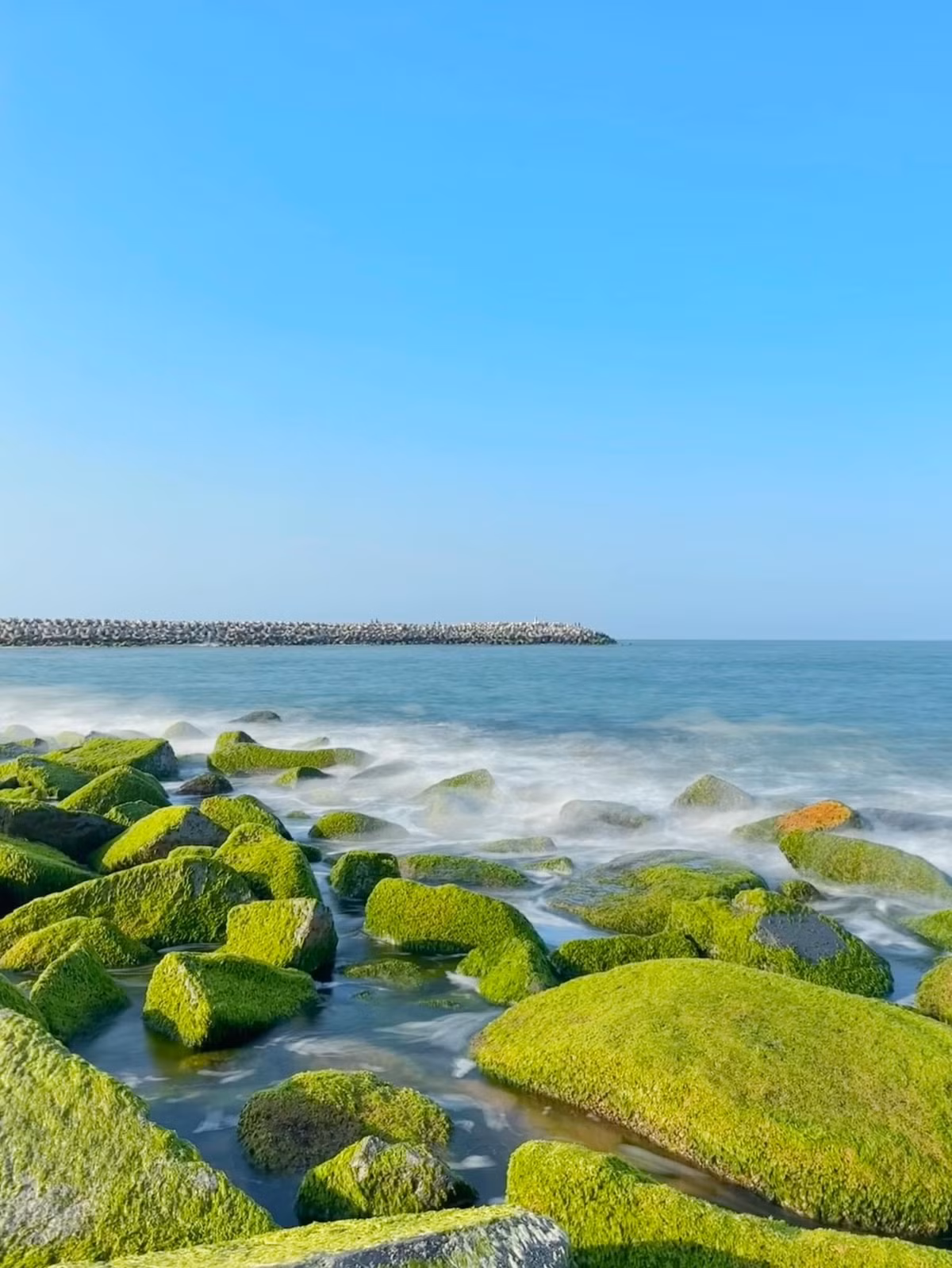 “Mỗi điểm đến là một câu chuyện, điểm nào cũng ấn tượng với mình. Bãi Rêu tại bờ kè Xóm Rớ cho mình nhiều tình cảm hơn cả. Giữa một vùng biển xanh đã mọc lên bãi rêu bạt ngàn, ánh nắng chiều rọi sáng cho mình thấy một tấm thảm khổng lồ trải trên biển”, nam du khách cho biết.