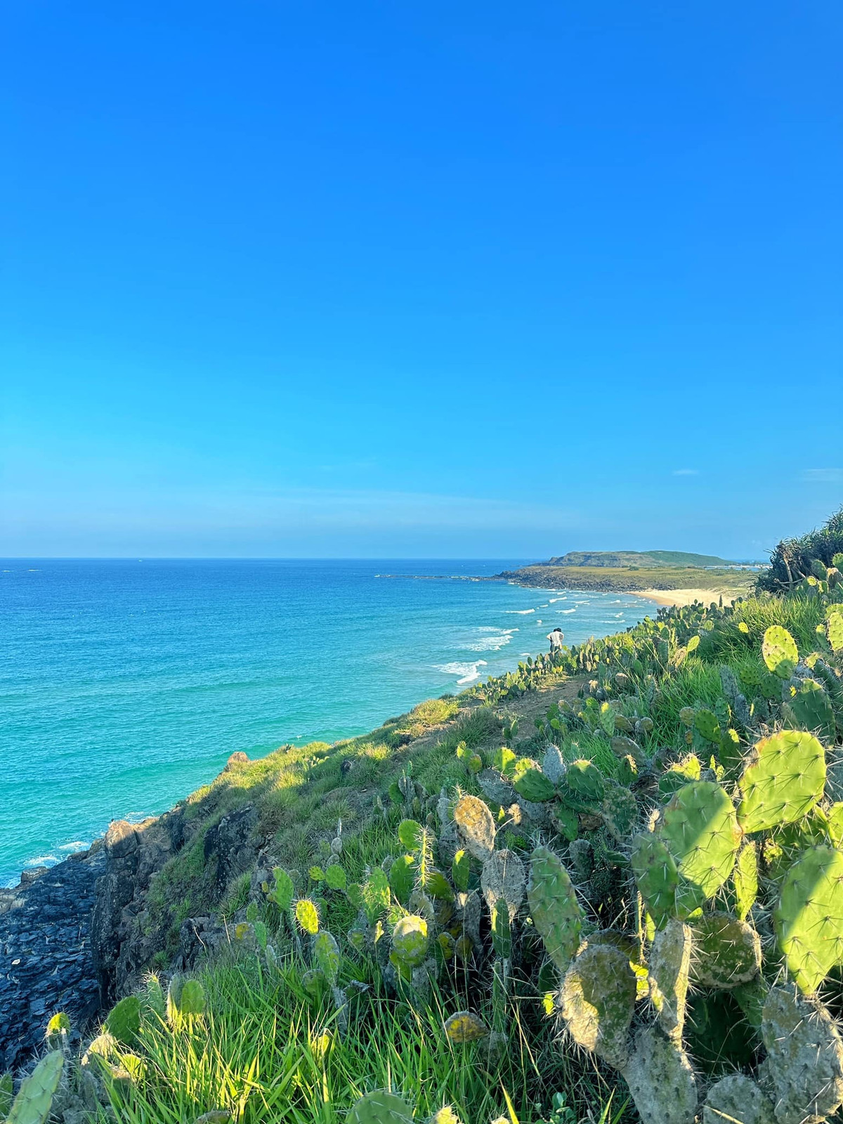 Dù đã đặt chân đến mảnh đất “đầy nắng và gió” này, nam du khách Hoàng Ba Đình vẫn luôn trong tâm trạng háo hức, chờ đợi một ngày gần nhất quay lại nơi này.