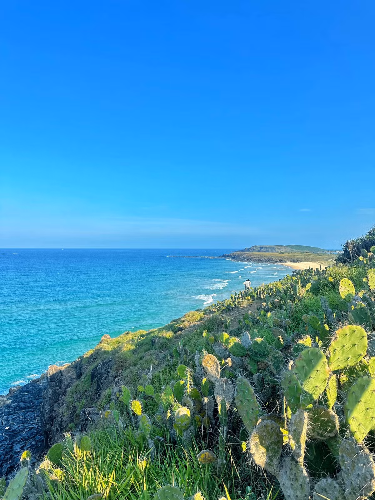 Dù đã đặt chân đến mảnh đất “đầy nắng và gió” này, nam du khách Hoàng Ba Đình vẫn luôn trong tâm trạng háo hức, chờ đợi một ngày gần nhất quay lại nơi này.