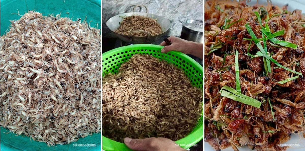 Sau khi lột xác chúng bay lượn vài giờ rồi chết. Vòng đời của chúng vỏn vẹn chỉ qua hai lần lột xác, kéo dài chừng 1 tiếng. Lần đầu là ấu trùng dưới đất ngoi lên mặt nước lột xác thành con vờ, bay vật vờ khoảng 15 phút rồi lại tiếp tục lột xác. Từ món ăn bình dị của những gia đình ven sông, đến nay, vờ đã trở thành đặc sản được nhiều người tìm mua. Với những người dân ở ven sông Hồng, "săn" vờ không chỉ là nguồn thu nhập mà còn là thú vui của người dân nơi đây.