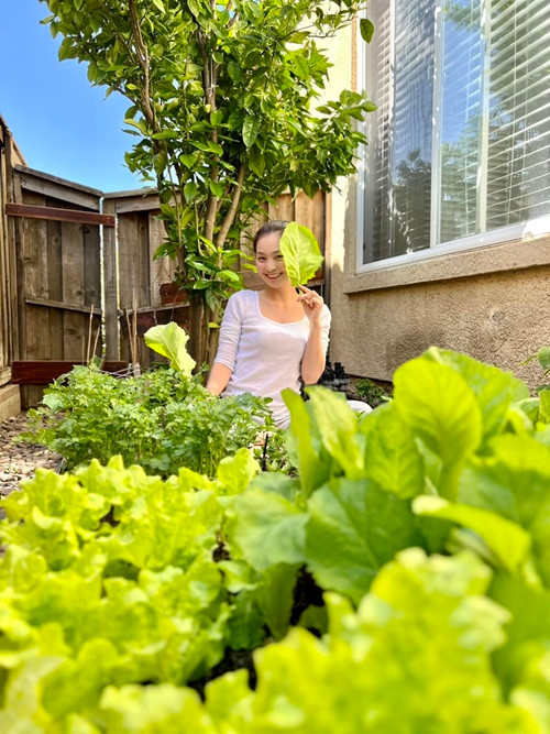 Diệu Hương trồng rau trong vườn nhà. Vào đầu năm 2023, gia đình cô đã chuyển đến ngôi nhà mới rộng rãi, khang trang hơn. Bên ngoài căn nhà, còn có vườn, bể bơi.