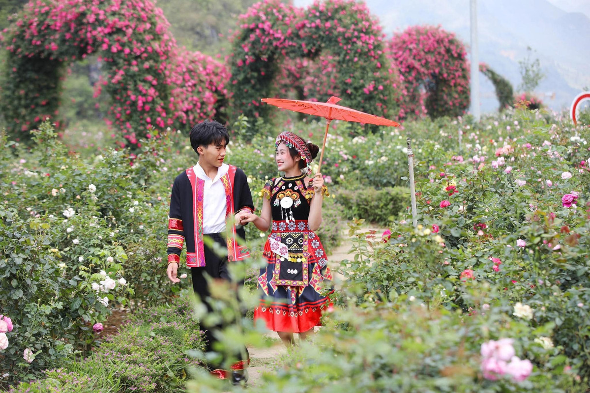 Bên cạnh đó, du khách còn được trực tiếp tham gia đoàn diễu hành xe hoa lộng lẫy từ khu du lịch Sun World Fansipan Legend đến trung tâm thị xã Sa Pa. Những chiếc xe ngựa, xe điện cổ được trang trí bởi hàng trăm đóa hồng đủ sắc màu rực rỡ. Ngoài ra, còn có sự tham gia của hàng trăm diễn viên bản địa trong trang phục dân tộc đặc trưng của Sa Pa hứa hẹn khuấy động mọi nẻo đường trung tâm thị trấn mù sương. Đặc biệt, màn trình diễn tái hiện đám cưới của các dân tộc thiểu số Mông, Dao, Tày, Giáy, Xa Phó... từ Vườn hồng lên Bản Mây hứa hẹn sẽ mang đến cho du khách cơ hội chiêm ngưỡng màn rước dâu độc đáo và hoành tráng nhất Tây Bắc.