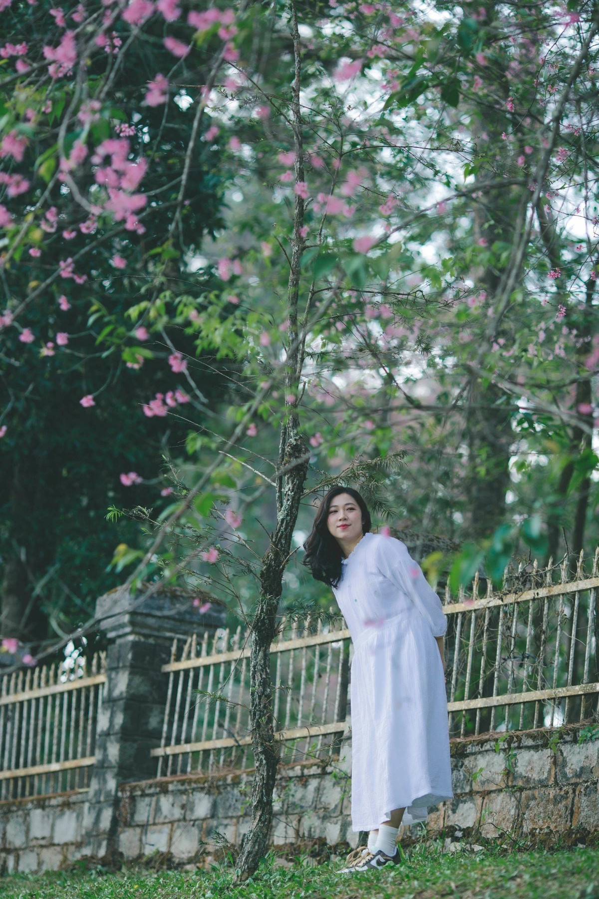 Sau khi hỏi thăm và được xác tín từ những người bạn ở Đà Lạt nên Dung rất háo hức, quyết không bỏ qua cơ hội hiếm này. “Sắp xếp công việc rồi ghé thăm Đà Lạt một chút, bắt vội một vài khoảnh khắc trước khi hoa tàn. Những hình ảnh này được chụp sau một ngày mưa nên hoa cũng không còn rộ nhiều nhưng cũng đủ để làm một bộ ảnh thơ thơ, đánh dấu một mùa hoa nở muộn đặc biệt này” - Ngọc Dung nói.