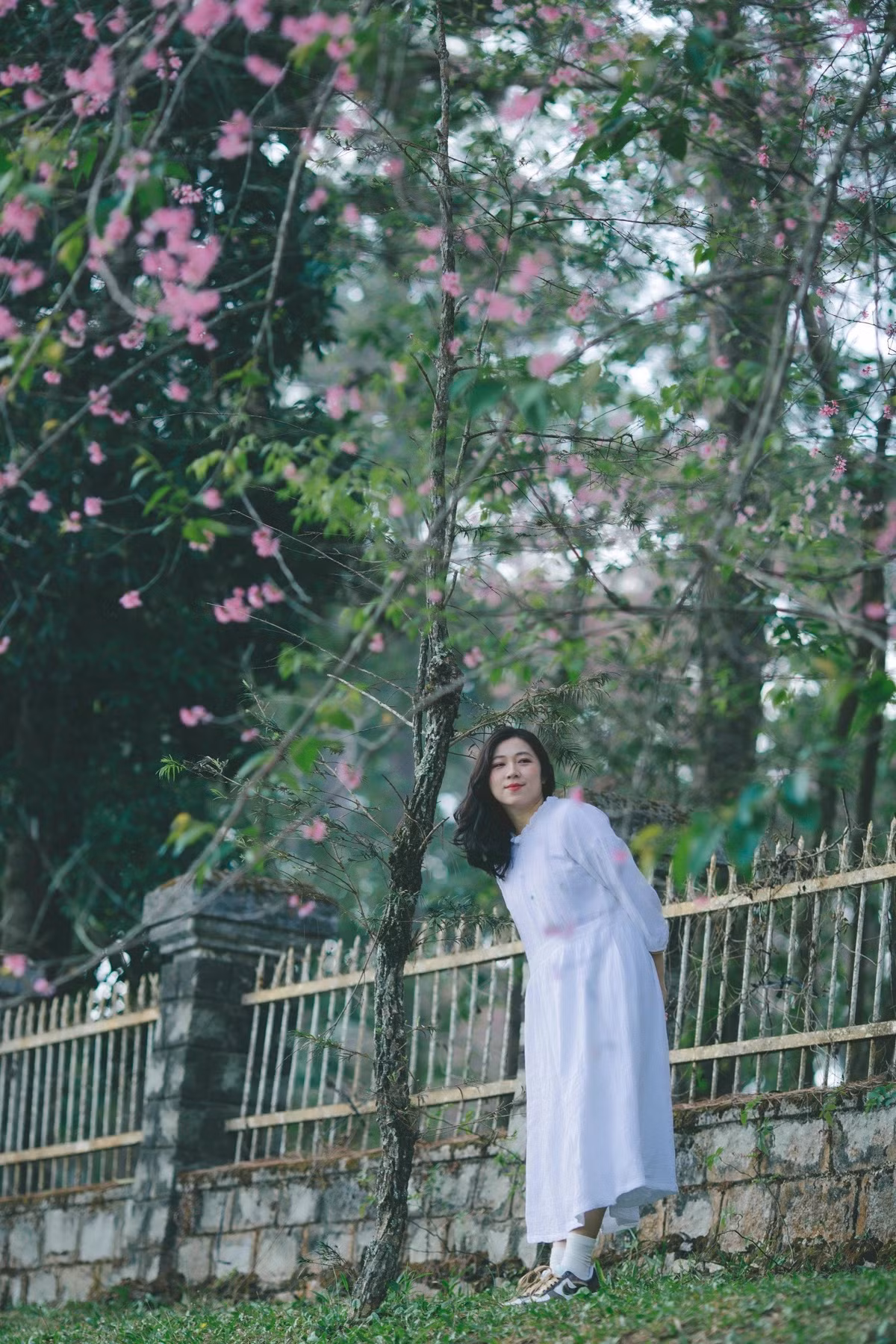 Sau khi hỏi thăm và được xác tín từ những người bạn ở Đà Lạt nên Dung rất háo hức, quyết không bỏ qua cơ hội hiếm này. “Sắp xếp công việc rồi ghé thăm Đà Lạt một chút, bắt vội một vài khoảnh khắc trước khi hoa tàn. Những hình ảnh này được chụp sau một ngày mưa nên hoa cũng không còn rộ nhiều nhưng cũng đủ để làm một bộ ảnh thơ thơ, đánh dấu một mùa hoa nở muộn đặc biệt này” - Ngọc Dung nói.