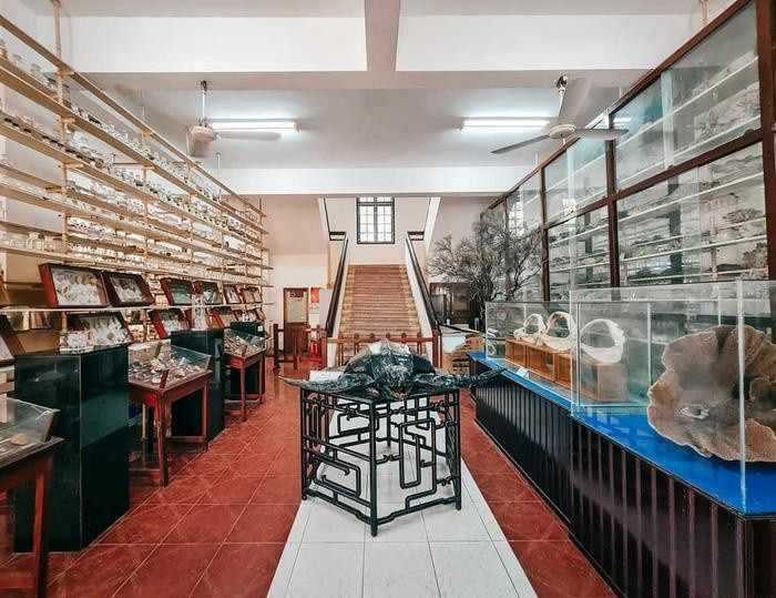 Viện Hải Dương Học nơi bảo tồn hàng nghìn sinh vật biển, trong đó có cả sinh vật quý hiếm. Nơi đây là một trong những điểm đến Nha Trang thú vị và hấp dẫn rất nhiều du khách ở nhiều độ tuổi.