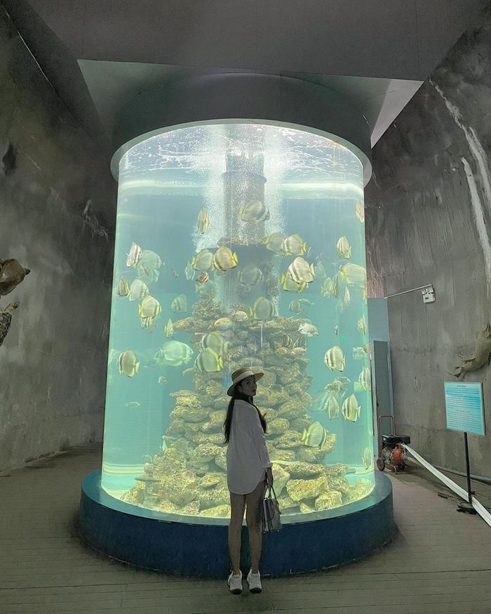 Viện Hải Dương Học nơi bảo tồn hàng nghìn sinh vật biển, trong đó có cả sinh vật quý hiếm. Nơi đây là một trong những điểm đến Nha Trang thú vị và hấp dẫn rất nhiều du khách ở nhiều độ tuổi.