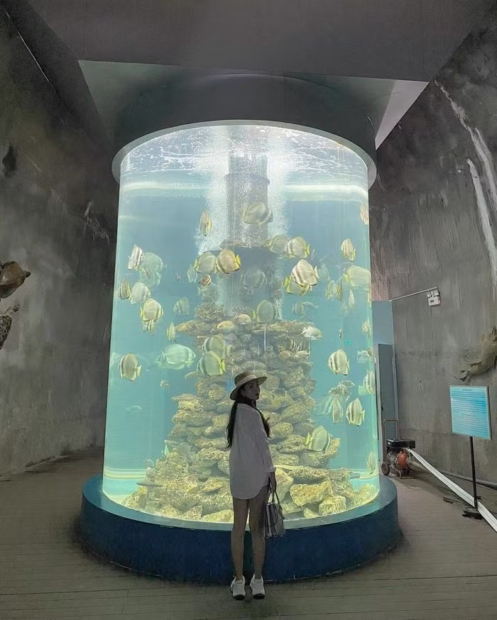 Viện Hải Dương Học nơi bảo tồn hàng nghìn sinh vật biển, trong đó có cả sinh vật quý hiếm. Nơi đây là một trong những điểm đến Nha Trang thú vị và hấp dẫn rất nhiều du khách ở nhiều độ tuổi.