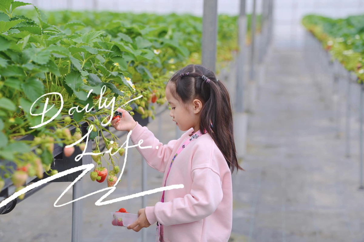 Từng được mẹ giữ kín dung mạo khi còn nhỏ nhưng những năm gần đây bé Sophie - con gái của Hoa hậu Đặng Thu Thảo và doanh nhân Tín Nguyễn đã được công khai với công chúng. Nhóc tỳ sở hữu chiều cao ấn tượng, khuôn mặt xinh xắn như "bản sao" của mẹ Hoa hậu. Dù chỉ mới 6 tuổi nhưng Sophie đã rất hiểu chuyện, biết quan tâm và thể hiện tình yêu với bố mẹ. Mới đây, Hoa hậu Đặng Thu Thảo còn tiết lộ phản ứng của con gái khi biết thân phận là tiểu thư nhà giàu có. Theo đó, mẹ bỉm đã kể cho con nghe những câu chuyện cuộc sống khó khăn bên ngoài và cho con biết điều kiện mà gia đình đang có. Sau khi nghe mẹ chia sẻ, bé Sophie đã nói: "Con cảm ơn mẹ vì đã cho con sống ở ngôi nhà như thế này".