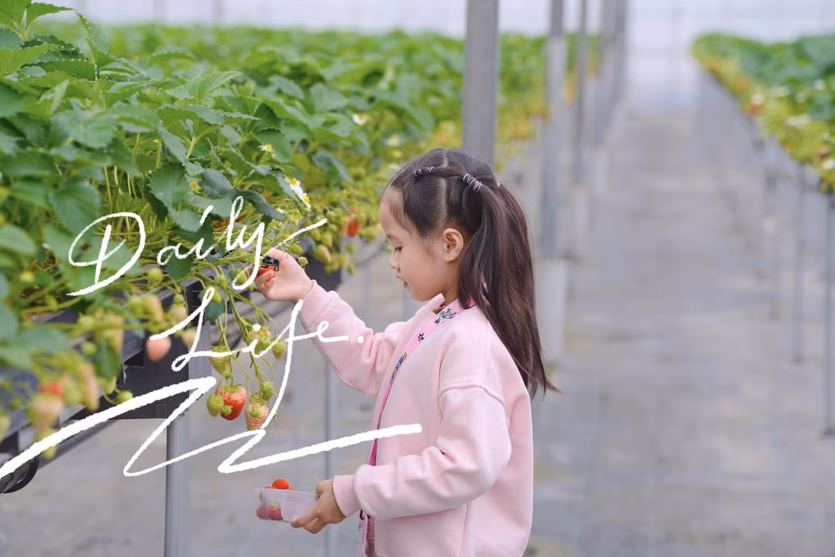 Từng được mẹ giữ kín dung mạo khi còn nhỏ nhưng những năm gần đây bé Sophie - con gái của Hoa hậu Đặng Thu Thảo và doanh nhân Tín Nguyễn đã được công khai với công chúng. Nhóc tỳ sở hữu chiều cao ấn tượng, khuôn mặt xinh xắn như "bản sao" của mẹ Hoa hậu. Dù chỉ mới 6 tuổi nhưng Sophie đã rất hiểu chuyện, biết quan tâm và thể hiện tình yêu với bố mẹ. Mới đây, Hoa hậu Đặng Thu Thảo còn tiết lộ phản ứng của con gái khi biết thân phận là tiểu thư nhà giàu có. Theo đó, mẹ bỉm đã kể cho con nghe những câu chuyện cuộc sống khó khăn bên ngoài và cho con biết điều kiện mà gia đình đang có. Sau khi nghe mẹ chia sẻ, bé Sophie đã nói: "Con cảm ơn mẹ vì đã cho con sống ở ngôi nhà như thế này".