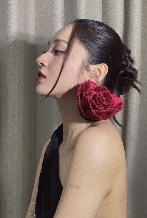 Bảo Anh từng bị người yêu bạo hành tinh thần. Ảnh: FBNV.