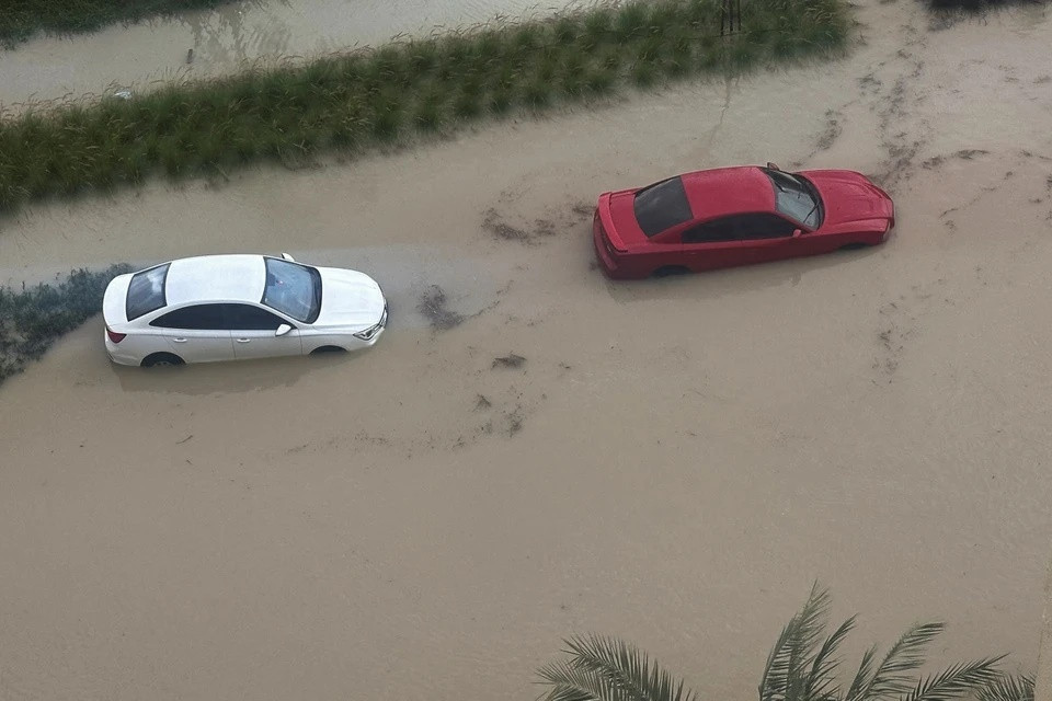 Dodge Charger là mẫu sedan cơ bắp Mỹ nổi tiếng, thường xuất hiện trong loạt bom tấn Fast &amp; Furious. Sau khi khai tử Challenger, Dodge đã thiết kế lại chiếc Charger với phong cách liftback 3 hoặc 5 cửa.