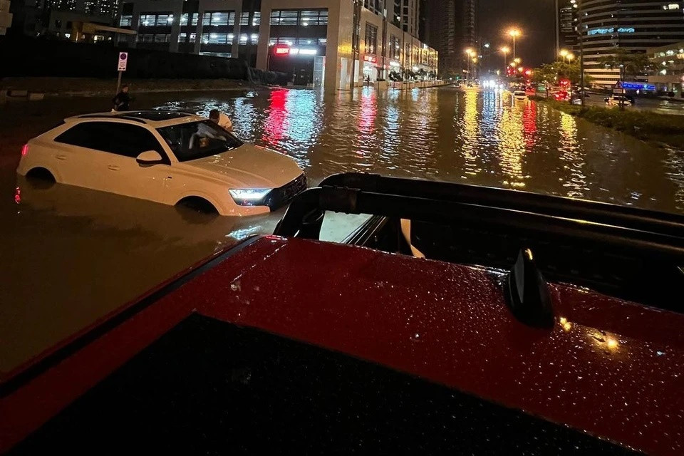 Tương tự X6, Audi Q8 là mẫu xe mang phong cách coupe thể thao. Chiếc xe này chia sẻ cơ cấu thiết kế với Porsche Cayenne Coupe và Lamborghini Urus.