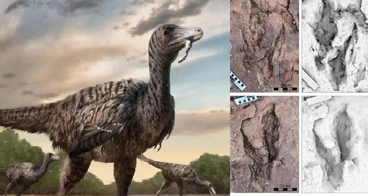 Kinh di quai dieu lai khung long cao 5 m o Trung Quoc