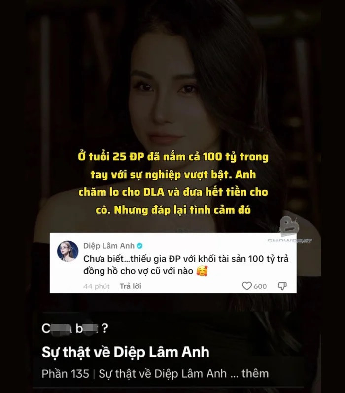 Bi noi duoc thieu gia 100 ty lo cho het, Diep Lam Anh dap tra-Hinh-3