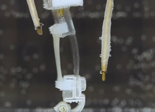 Nhat Ban che tao Robot voi co bap song co kha nang di bo