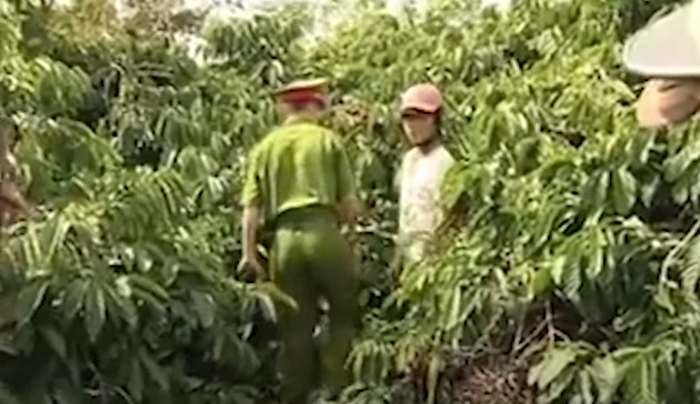 Tại đây, Thương hỏi tiền cháu Hương nhưng không có nên dùng cùi chỏ đánh vào gáy làm Hương gục xuống rồi tiếp tục lao vào bóp cổ cô bé cho đến chết. Thấy Hương nằm bất động, Thương bế Hương vào trong khu rẫy khuất và thực hiện hành vi giao cấu. 