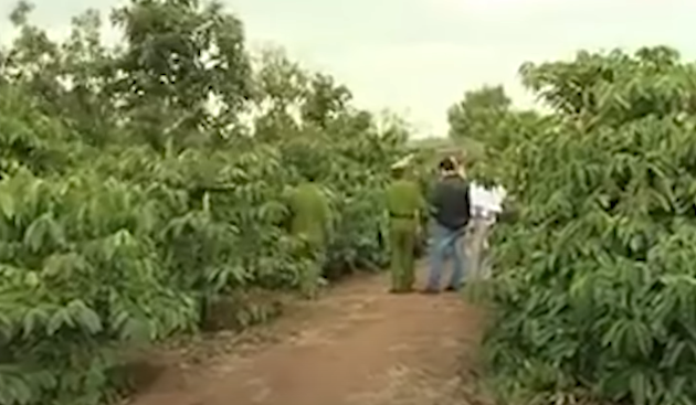 Sự việc được cấp báo cho cơ quan Công an Đắk Lắk và tiến hành tổ chức khám nghiệm hiện trường, tử thi, truy tìm tung tích nạn nhân. Qua điều tra, Cơ quan CSĐT Công an tỉnh Đắk Lắk xác định nạn nhân là cháu gái Nguyễn Thị Quỳnh Hương (15 tuổi), trú tại thôn Tân Hà 4, phường Thống Nhất, thị xã Buôn Hồ, Đắk Lắk, đã được gia đình báo mất tích từ ngày 19/5, nhưng không rõ đi đâu. 