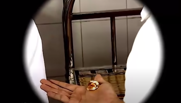 Tại Cơ quan điều tra, ban đầu Phú luôn miệng cho rằng mình vô can và loanh quanh chối tội, nhưng thông qua việc kiểm tra thân thể, các điều tra viên đã phát hiện trên bàn tay trái của Phú có một vết thương còn mới và được khâu rất vội vàng. Phú cho rằng vết thương này có là do Phú đã bất cẩn trong việc vận hành máy cưa vào buổi sáng.