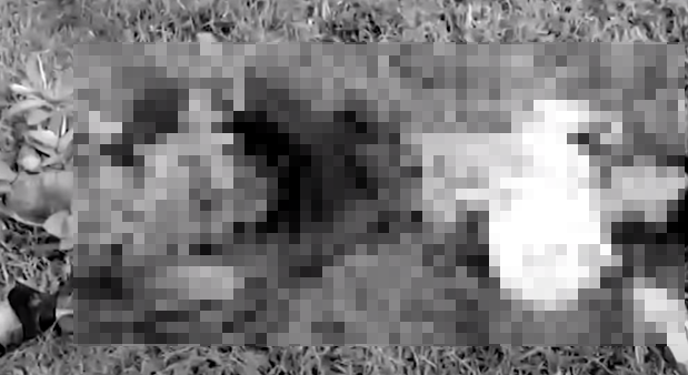 Lúc đầu, các anh tưởng có người say rượu nên đến để xem, nhưng khi đến nơi mới phát hiện đó là một xác chết, trên cơ thể nạn nhân nhuộm đỏ máu. Anh Tuấn vội chạy báo tin cho Công an xã Hòa Phú. Ngay sau đó, thông tin án mạng đã được trình báo đến cơ quan chức năng…