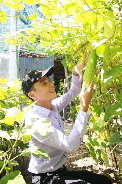 Trong rau sach khong can dat... 4 nguoi an chi 300.000 dong/thang-Hinh-3