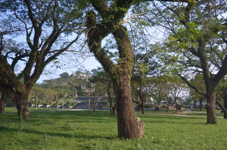 Những phút yên ả và thanh bình đến nao lòng tại nơi đây.