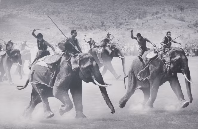 Tác phẩm “Đua voi” của tác giả Trần Phong (Việt Nam) đoạt bằng danh dự FIAP. 