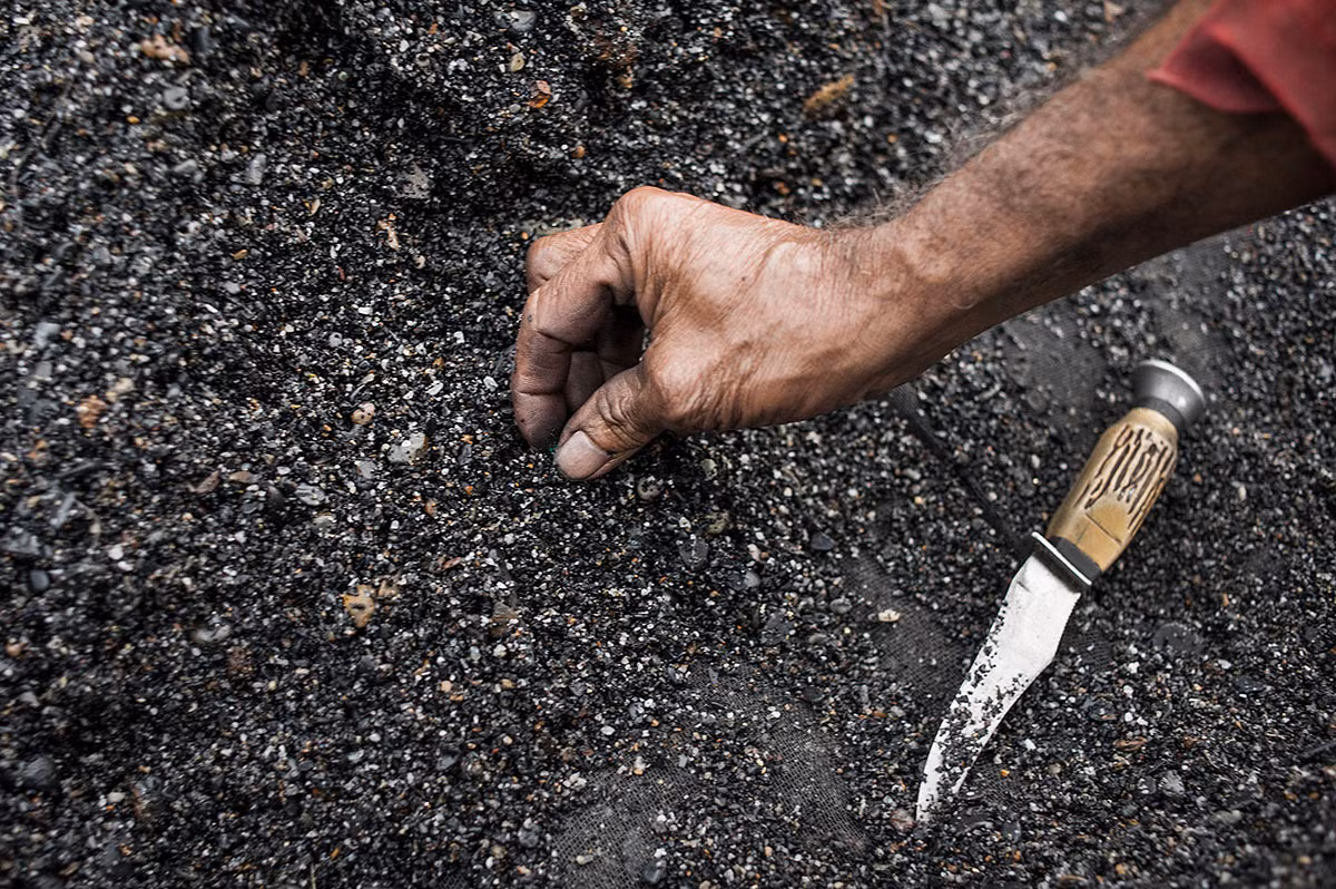 Họ phải rất tinh mắt để phát hiện ra những viên đá màu xanh nhỏ bé. Những viên đá bích ngọc tìm được ở khe núi thường nhỏ và có giá trị thấp hơn.