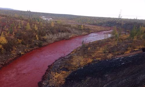Sông Nile ở Châu Phi là con sông dài nhất thế giới. Tuy nhiên, Siberia có tới 4 con sông nằm trong danh sách 10 dòng sông dài nhất thế giới. Đó là sông Ob, Amur, Lena và Yenisei.