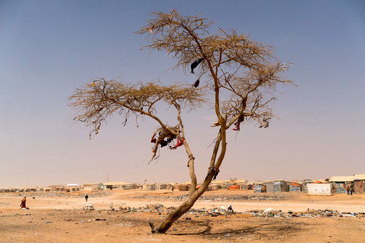 Hinh anh nan doi Somalia dang de doa 6,2 trieu nguoi-Hinh-2