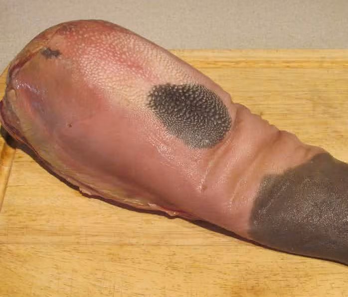 Một kỷ lục ăn uống đáng kinh ngạc nữa do Dominic Cardo xác lập. Được biết, Cardo đã ăn hết gần 1,5 kg lưỡi bò ngâm giấm trong vòng 12 phút.