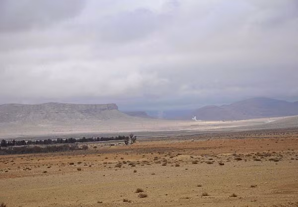 Ben trong thanh pho co Palmyra moi giai phong khoi IS-Hinh-9