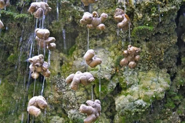 Người ta chỉ biết rằng, quá trình hóa đá đồ vật tại giếng nước diễn ra trong khoảng 3 - 5 tháng.