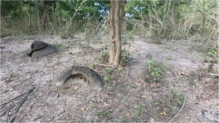 Trong khi đó, một số chiếc chum đá cao và có hình trụ nhô lên khỏi mặt đất. Mỗi cổ vật được người xưa chạm khắc công phu từ đá sa thạch.