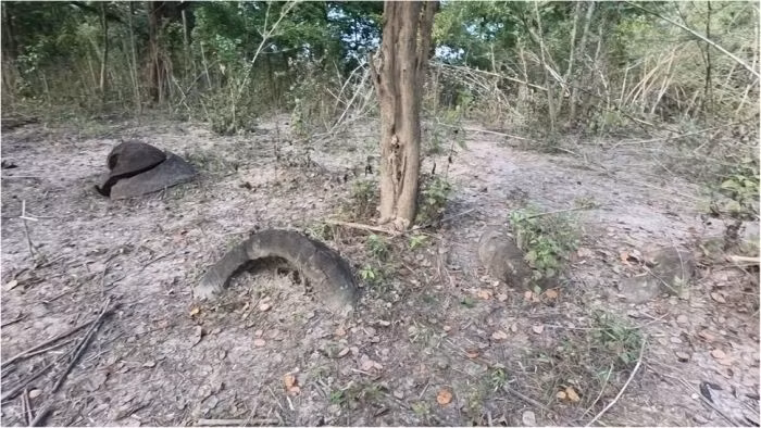 Trong khi đó, một số chiếc chum đá cao và có hình trụ nhô lên khỏi mặt đất. Mỗi cổ vật được người xưa chạm khắc công phu từ đá sa thạch.