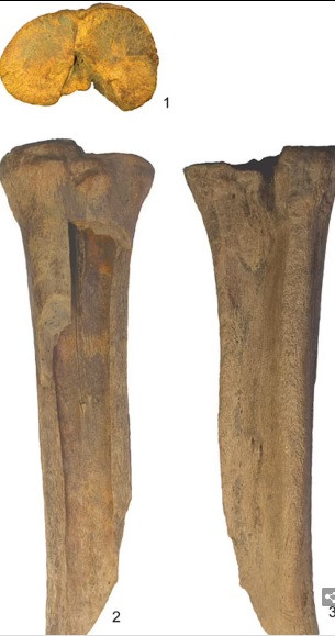 Neanderthals và Denisovans là 2 loài cùng thuộc chi Người (Homo) với người hiện đại Homo sapiens chúng ta. Họ được biết đến là những thợ săn giỏi.