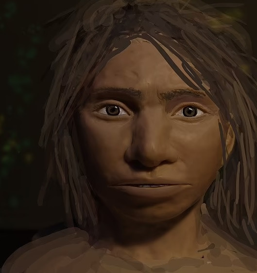 Từ đây, các chuyên gia cho rằng, lạc đà Camelus knoblochi biến mất khỏi Trái đất do kém thích nghi với những biến đổi khắc nghiệt của khí hậu vào khoảng 27.000 năm trước.