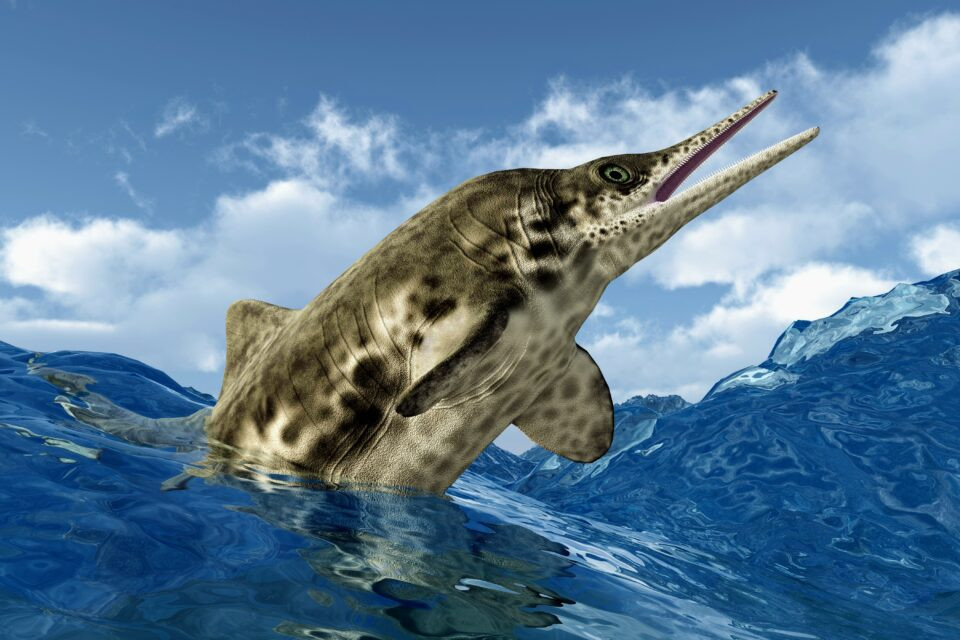 “Ichthyosaurs có cấu trúc răng rất đặc trưng giúp có thể dễ dàng nhận ra ngay ở chân răng và cả thân răng", giáo sư Martin Sander cho hay.