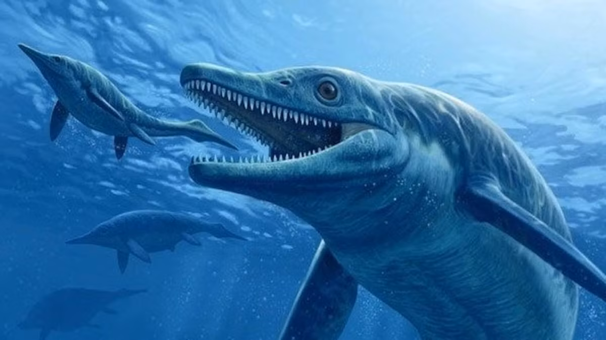 "Rồng biển" Ichthyosaurs là một trong 3 sinh vật "khủng" được tìm thấy tại Thụy Sĩ. Loài này sống cuối kỷ Trias, khoảng 205 triệu năm trước.