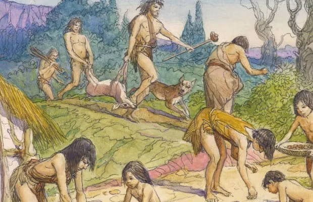 Thông qua những phân tích, kiểm tra trên, các nhà nghiên cứu phát hiện việc chuyển đổi từ lối sống săn bắt hái lượm sang trồng trọt đã khiến chiều cao của con người thời cổ đại giảm trung bình 3,8 cm.