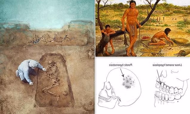 Cụ thể, nhóm nghiên cứu của phó giáo sư Marciniak tiến hành phân tích ADN và thực hiện các phép đo từ bộ xương của 167 người cổ đại được tìm thấy ở khu vực châu Âu.