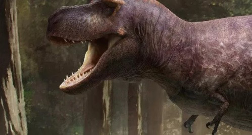 Ly do rung ron khien “tay” cua bao chua T-rex hau nhu bien mat