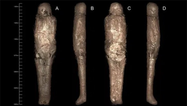 Trong suốt những năm sau đó, nhiều chuyên gia, nhà nghiên cứu đã tiến hành kiểm tra, phân tích để giải mã các bí ẩn về xác ướp. Một trong những phát hiện đầu tiên của giới nghiên cứu là cỗ quan tài có niên đại nhỏ hơn so với xác ướp bên trong.