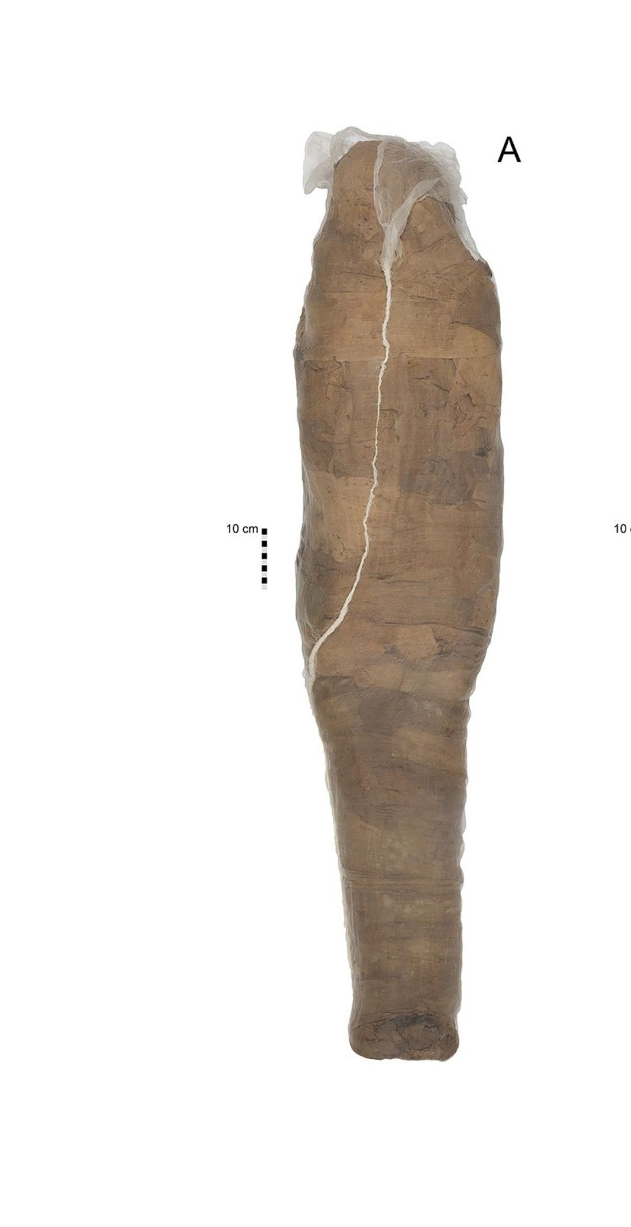 Lần này, những người thợ dùng hỗn hợp phức tạp gồm bùn, cát và rơm giữa các lớp vải quấn bằng lanh. Lớp phủ nền có chất tạo màu từ calcite trắng trong khi lớp trên cùng phủ đất son, một loại khoáng chất màu đỏ.