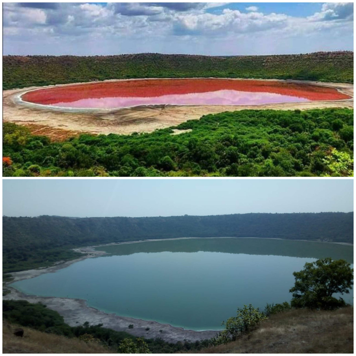 Vào đầu tháng 6/2020, các bức ảnh chụp ồ Lonar ở bang Maharashtra, Ấn Độ có màu hồng nhanh chóng thu hút sự quan tâm của dư luận. Nguyên do là bởi hồ nước đột ngột đổi màu chỉ sau 1 đêm.