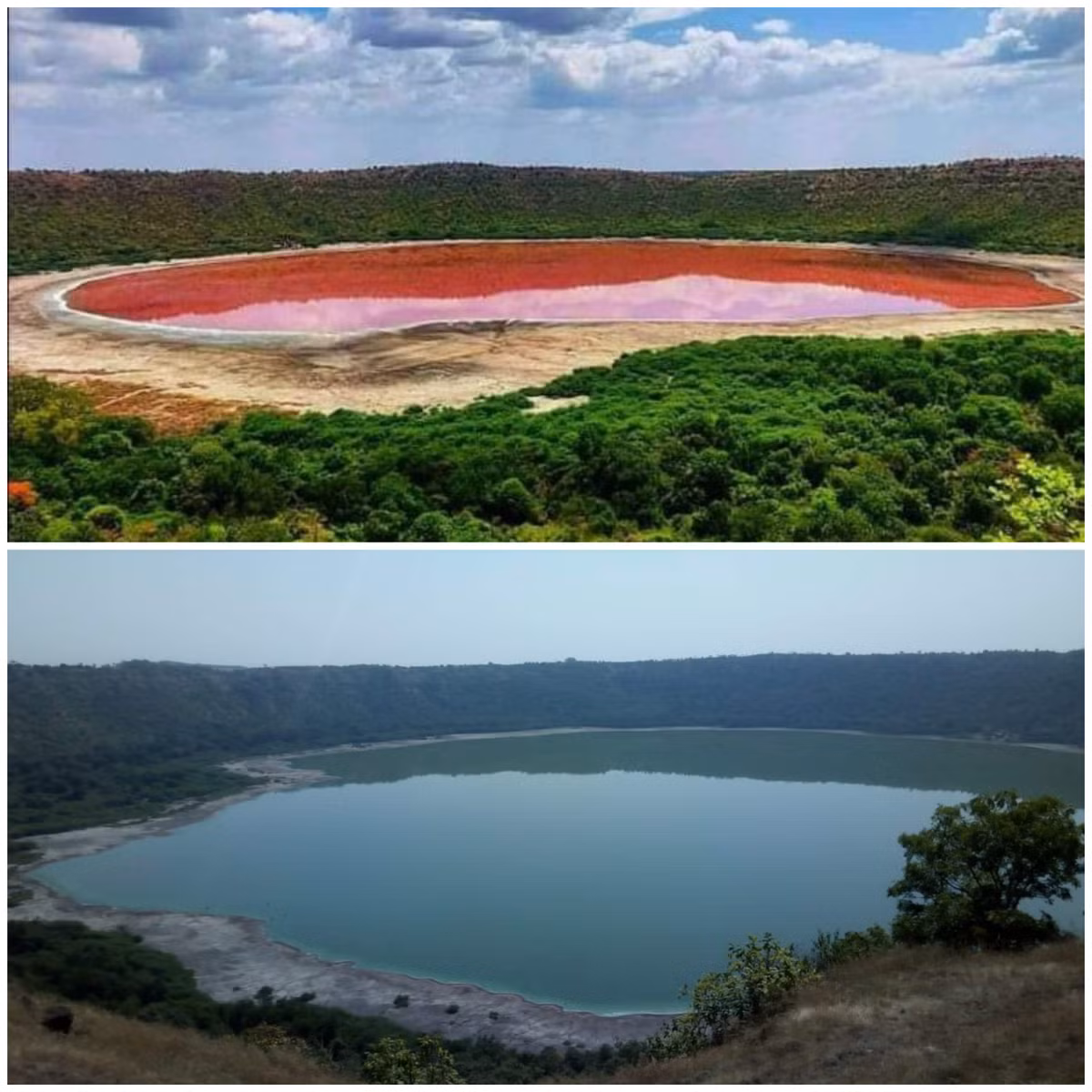 Vào đầu tháng 6/2020, các bức ảnh chụp ồ Lonar ở bang Maharashtra, Ấn Độ có màu hồng nhanh chóng thu hút sự quan tâm của dư luận. Nguyên do là bởi hồ nước đột ngột đổi màu chỉ sau 1 đêm.